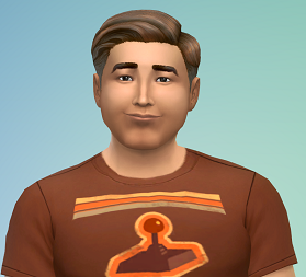 sim 7.png