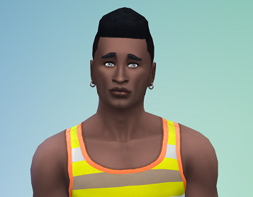 sims 2.png