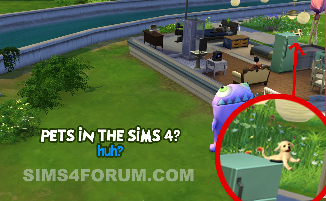 sims4dog.jpg
