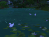 07-14-15_2-03 PM-3.png