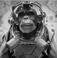 spacemonkey1310