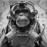spacemonkey1310