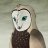 IvoryOwl
